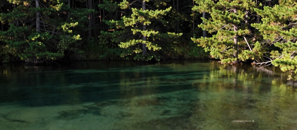 Spring Largemouth Bass Patterns in Shallow Lake Waters
